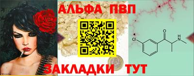 стафф Заводоуковск