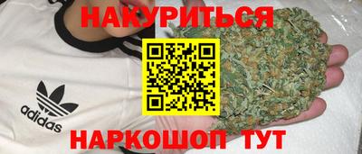 стафф Заводоуковск