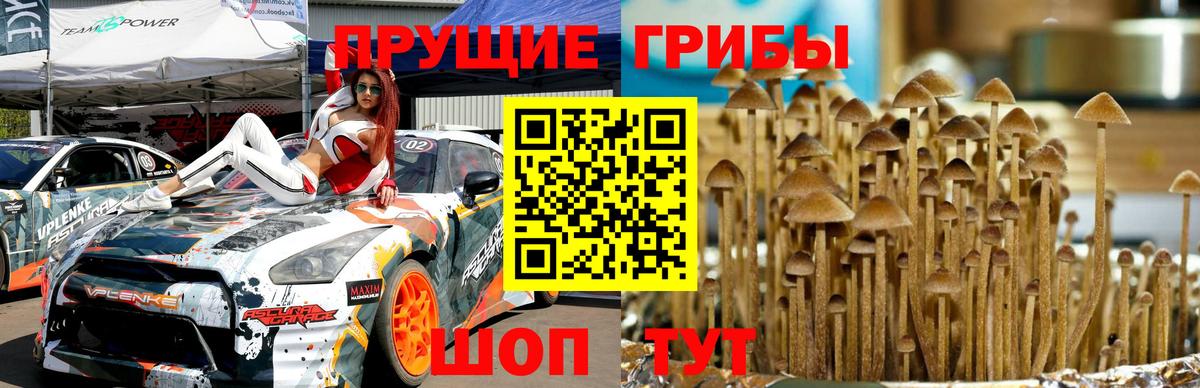 Галлюциногенные грибы мухоморы Лиски